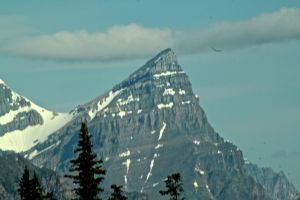 Early morning drive between Lake Louise and the Columbia Icefields