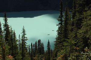 This is the view of a couple of canoes on Lake Louise as we approached the Teahouse on Lake Agnes