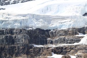 Hike above Lake Louise where you view 6 glaciers: Aberdeen, Upper Lefroy, Lower Lefroy, Upper Victoria, Lower Victoria and Pope's.