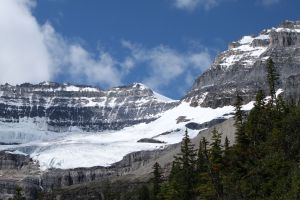 Hike above Lake Louise where you view 6 glaciers: Aberdeen, Upper Lefroy, Lower Lefroy, Upper Victoria, Lower Victoria and Pope's.