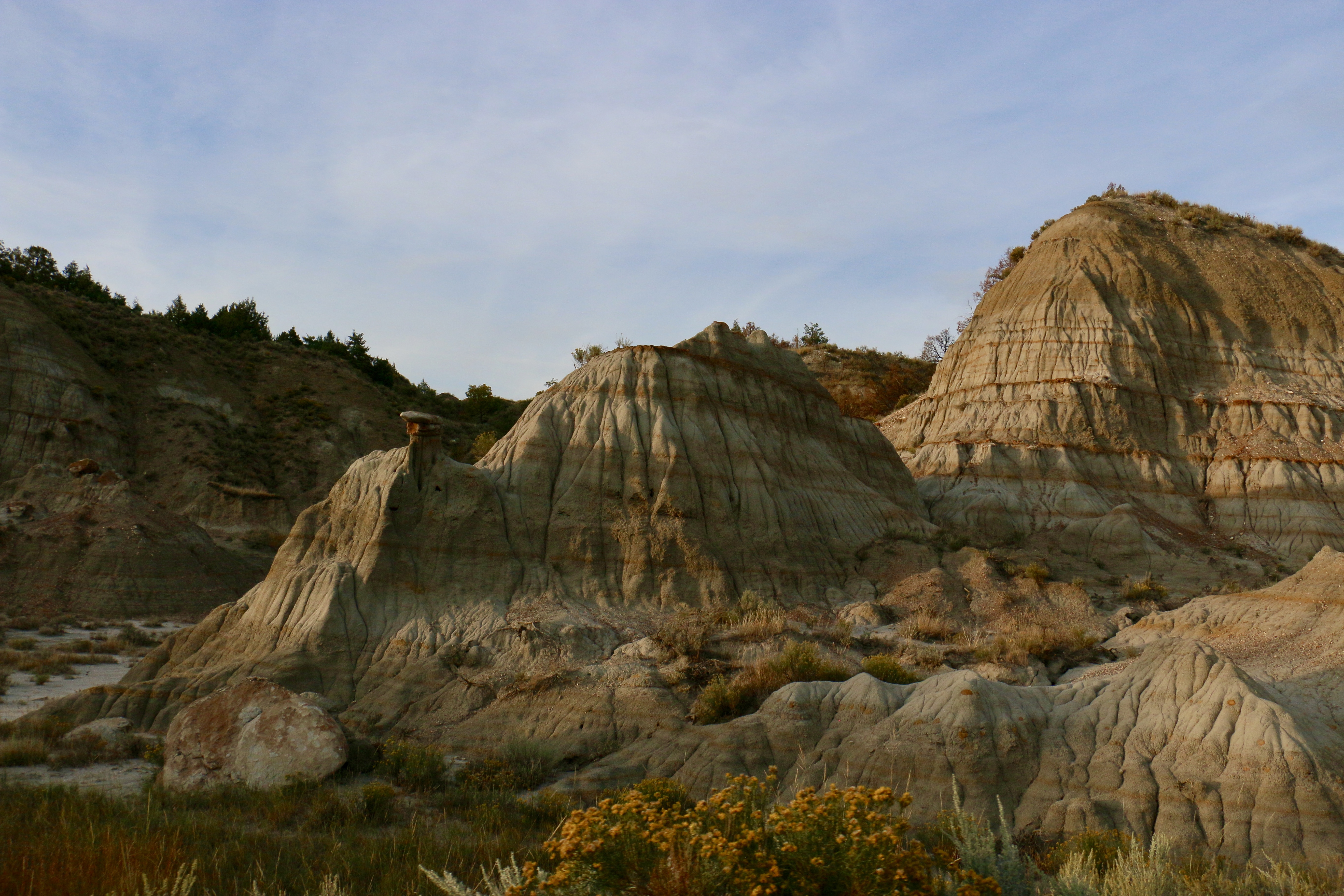 T Roosevelt Natl Park